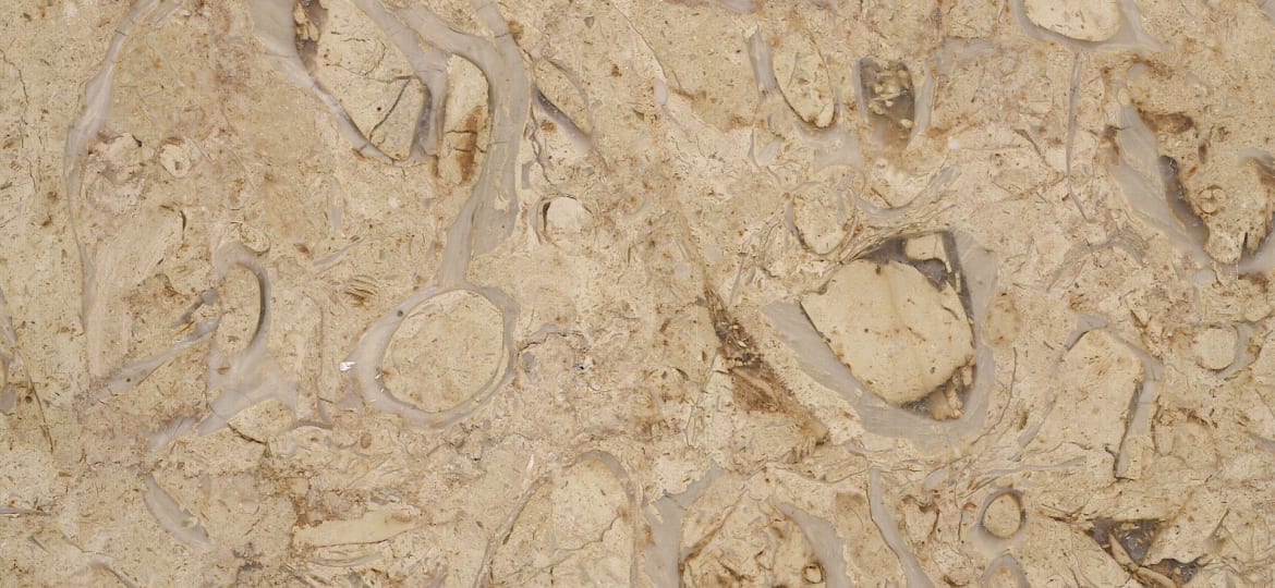 عينة رخام خاتمية